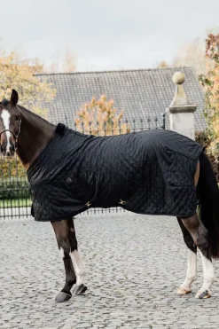 Couverture D'écurie Kentucky Horsewear 0 G