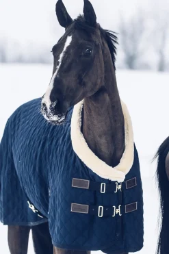 Couverture De Concours Kentucky Horsewear, 160 G