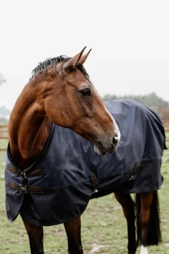 Couverture De Paddock Kentucky Horsewear 300Gr