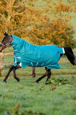 Couverture D'Exterieur Horseware Amigo Bravo 12 Plus, 400 G