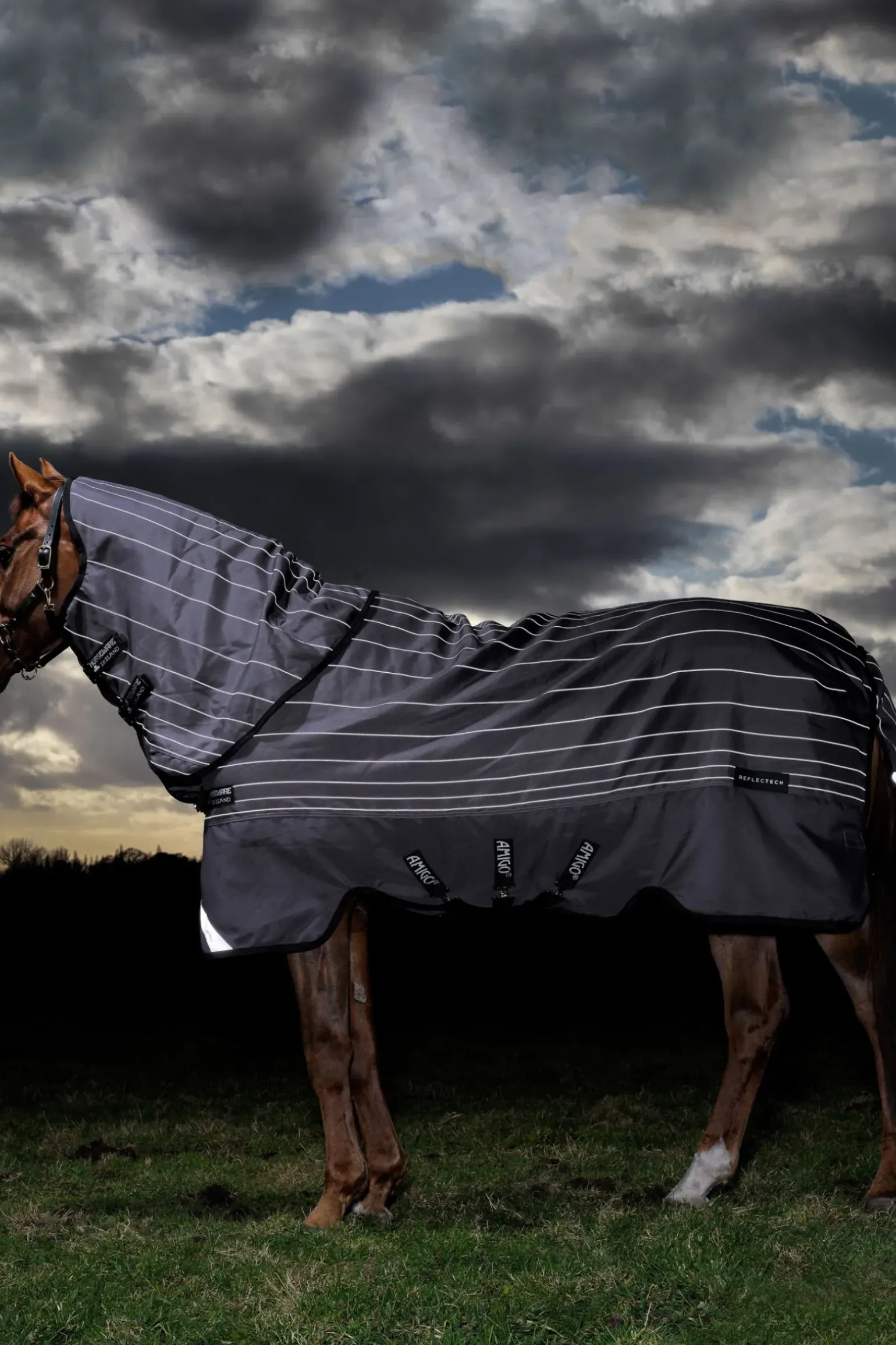 Couverture D'Exterieur Horseware Amigo Bravo 12 Reflectech Plus Avec Couvre-Encolure Amovible, 100 G