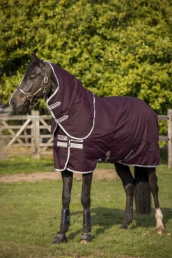 Couverture D'Exterieur Horseware Amigo Hero Ripstop Antidechirure Plus Medium Avec Couvre-Encolure Amovible, 200 G
