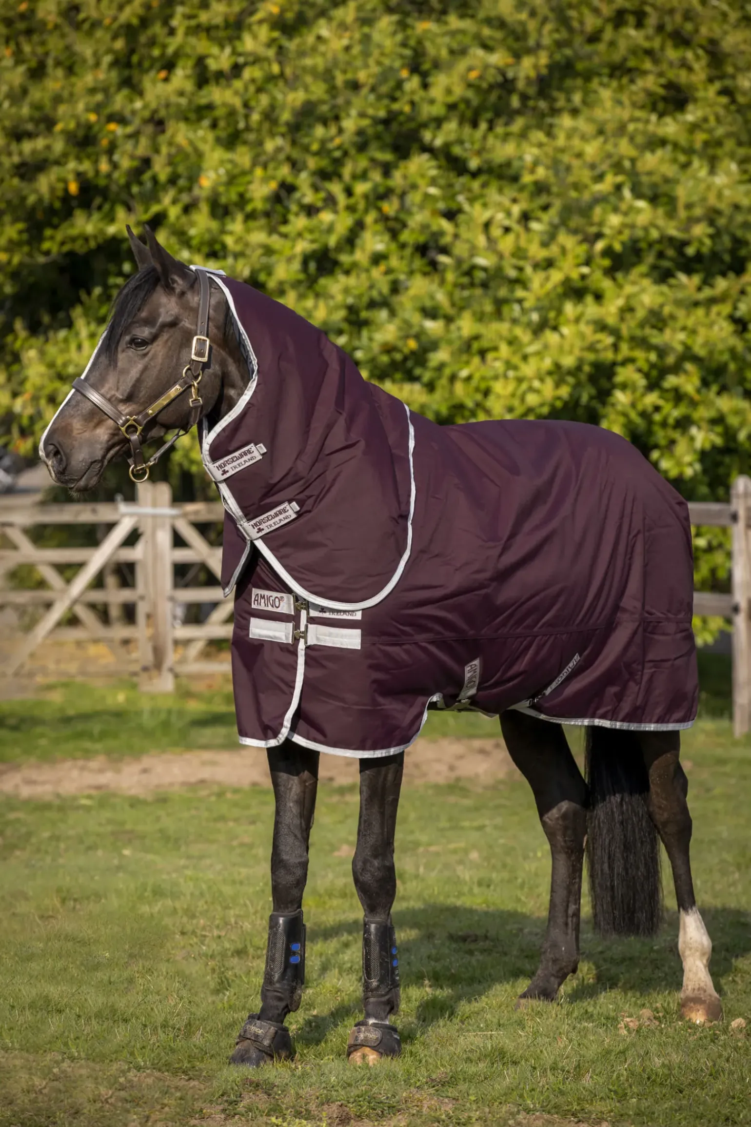 Couverture D'Exterieur Horseware Amigo Hero Ripstop Antidechirure Plus Medium Avec Couvre-Encolure Amovible, 200 G