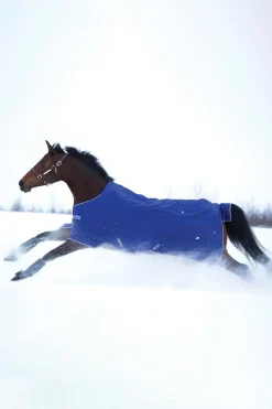 Couverture D'Exterieur Horseware Amigo Hero 900 T / O Medium, 200 G