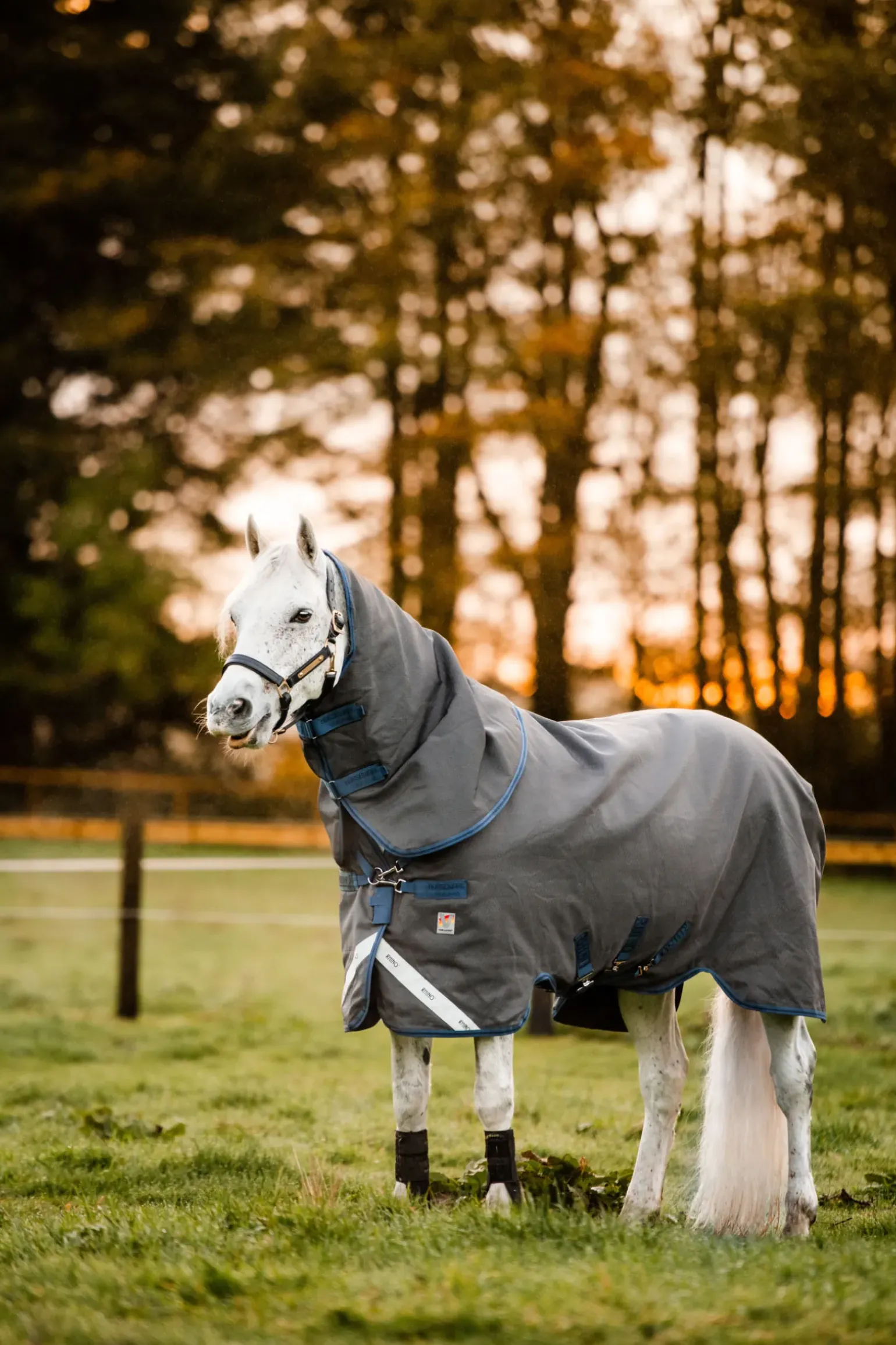 Couverture D'Exterieur Horseware Rhino Hexstop Plus Vari-Layer, 250 G