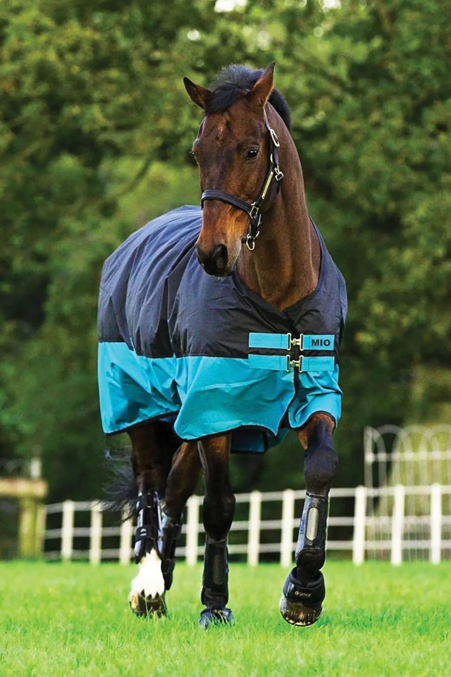 Couverture D'Exterieur Legere Horseware Mio Lite, 0 G