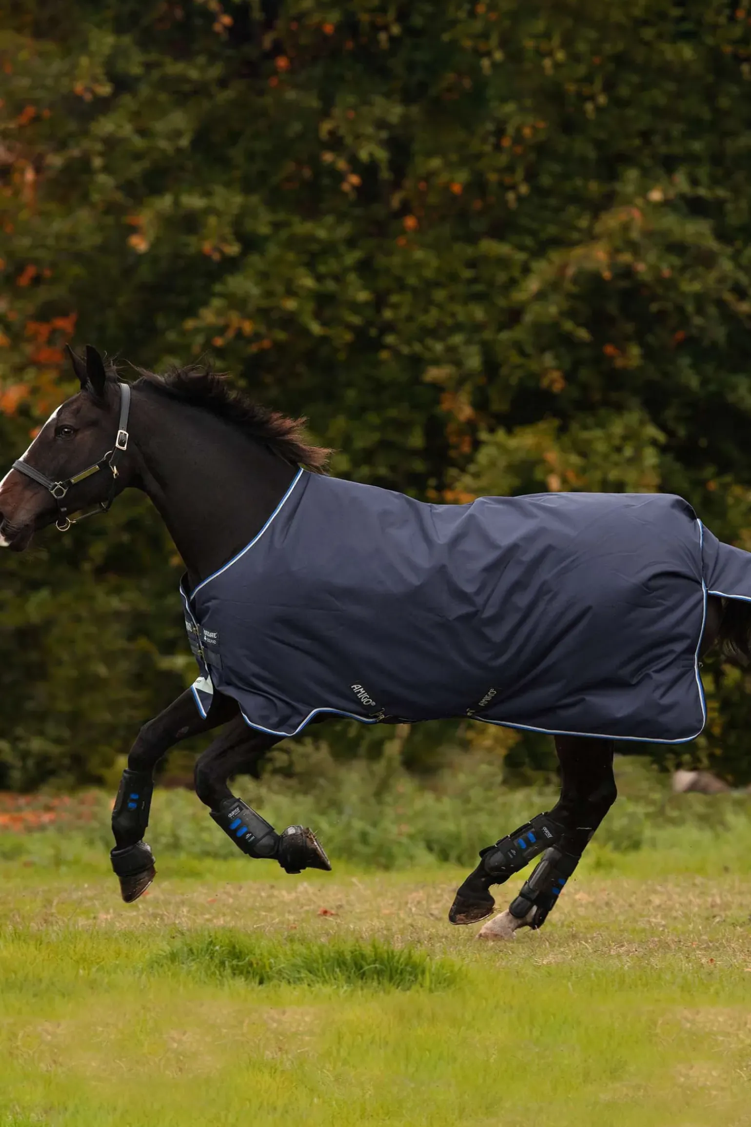 Couverture Horseware Amigo 12 T/O Med W/La, 250 G