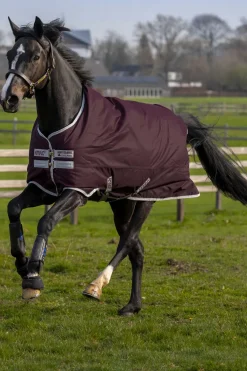 Couverture Horseware Amigo Hero Anti-Dechirure Fl/Lnd Doublure En Polaire 50 G