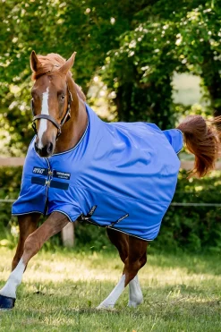 Couverture Horseware Amigo Hero Anti-Dechirure 50 G