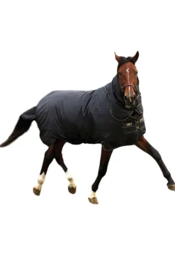 Couverture Horseware Trot Plus, Epaisse, 350G.