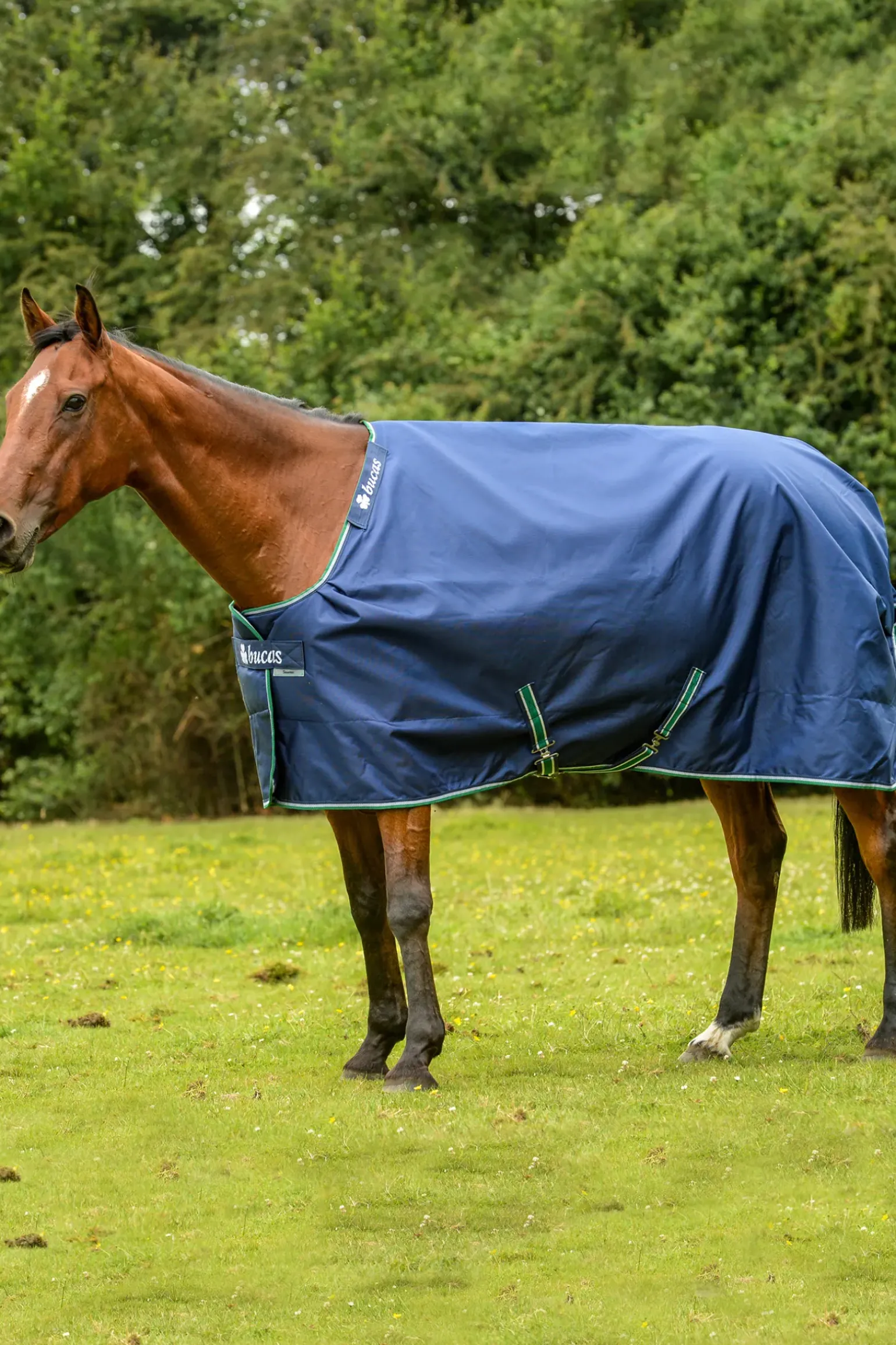 Couverture Impermeable D'Exterieur Bucas Smartex