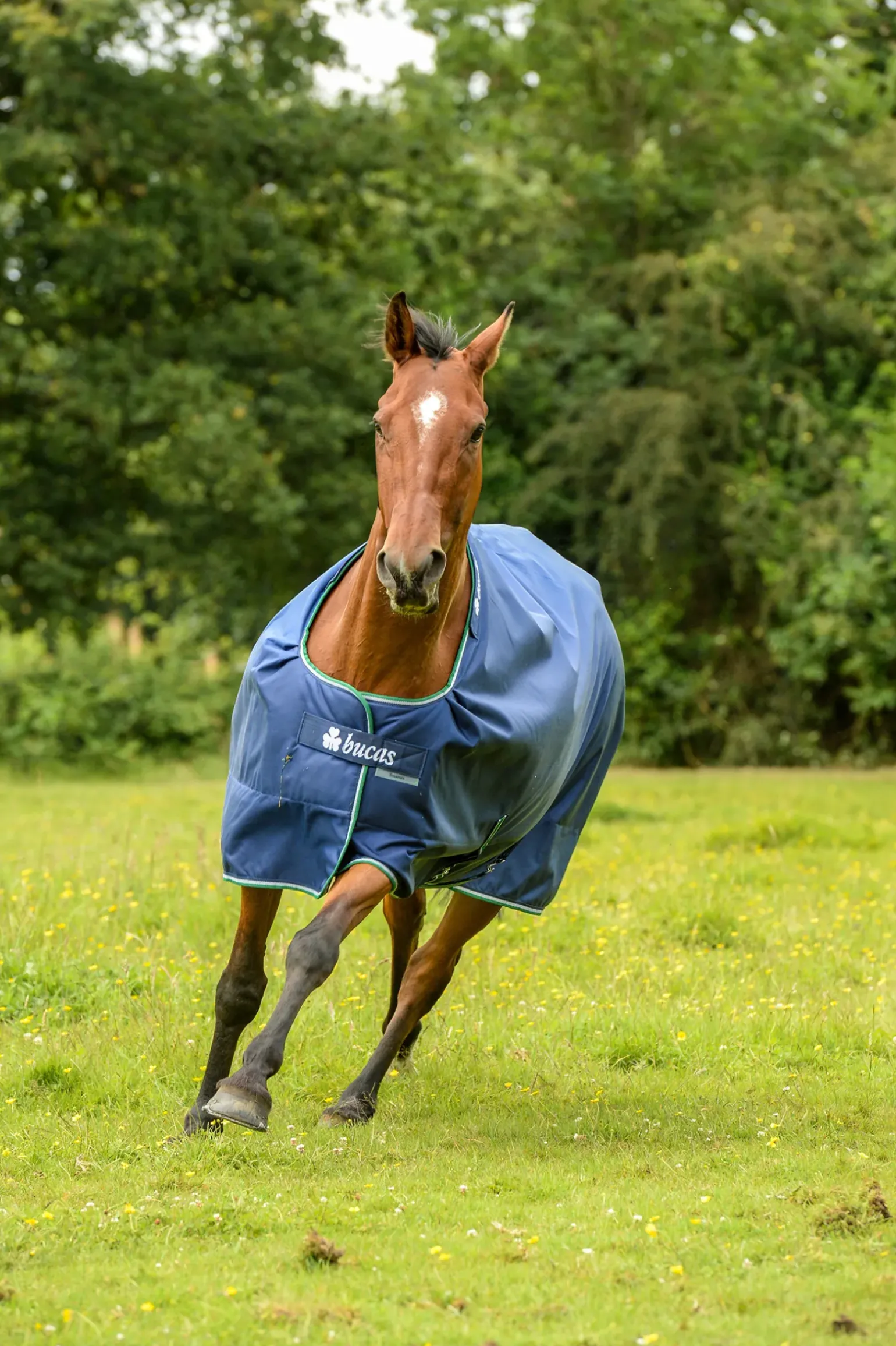 Couverture Impermeable D'Exterieur Bucas Smartex