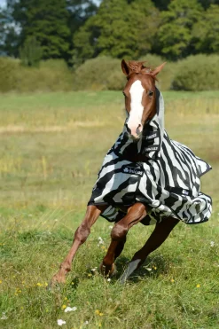 Couverture Integrale Bucas Buzz-Off Zebra