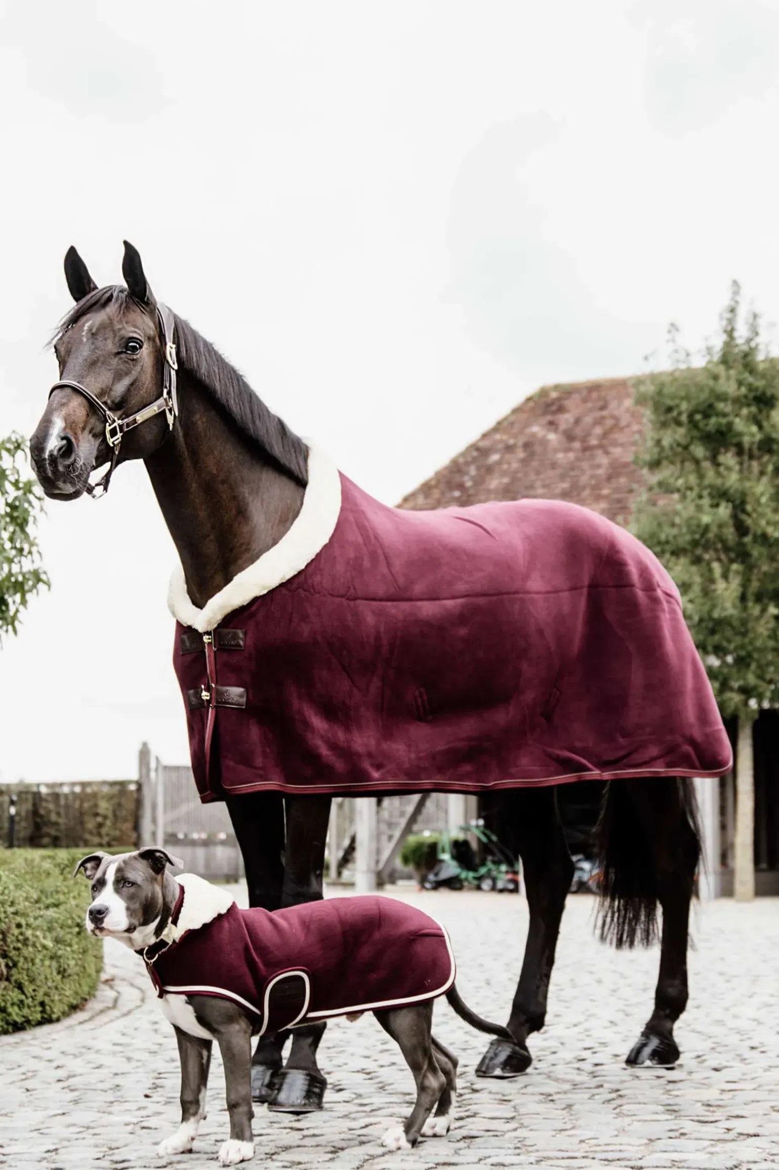 Couverture Polaire Epaisse De Concours Kentucky Horsewear