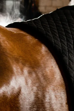 Couverture Sechante D'Automne Horseware