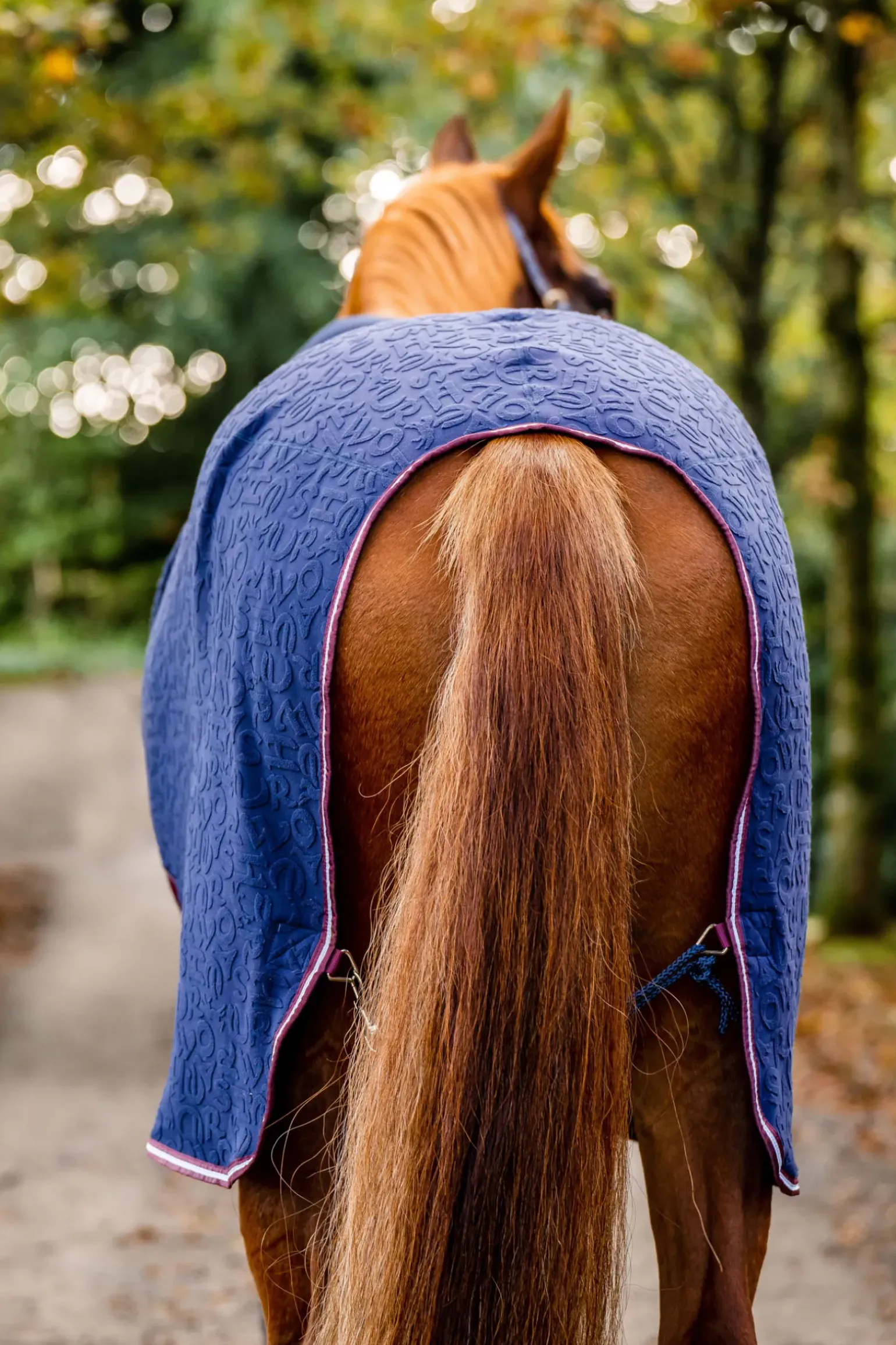 Couverture Sechante Horseware En Relief Encolure Douillette