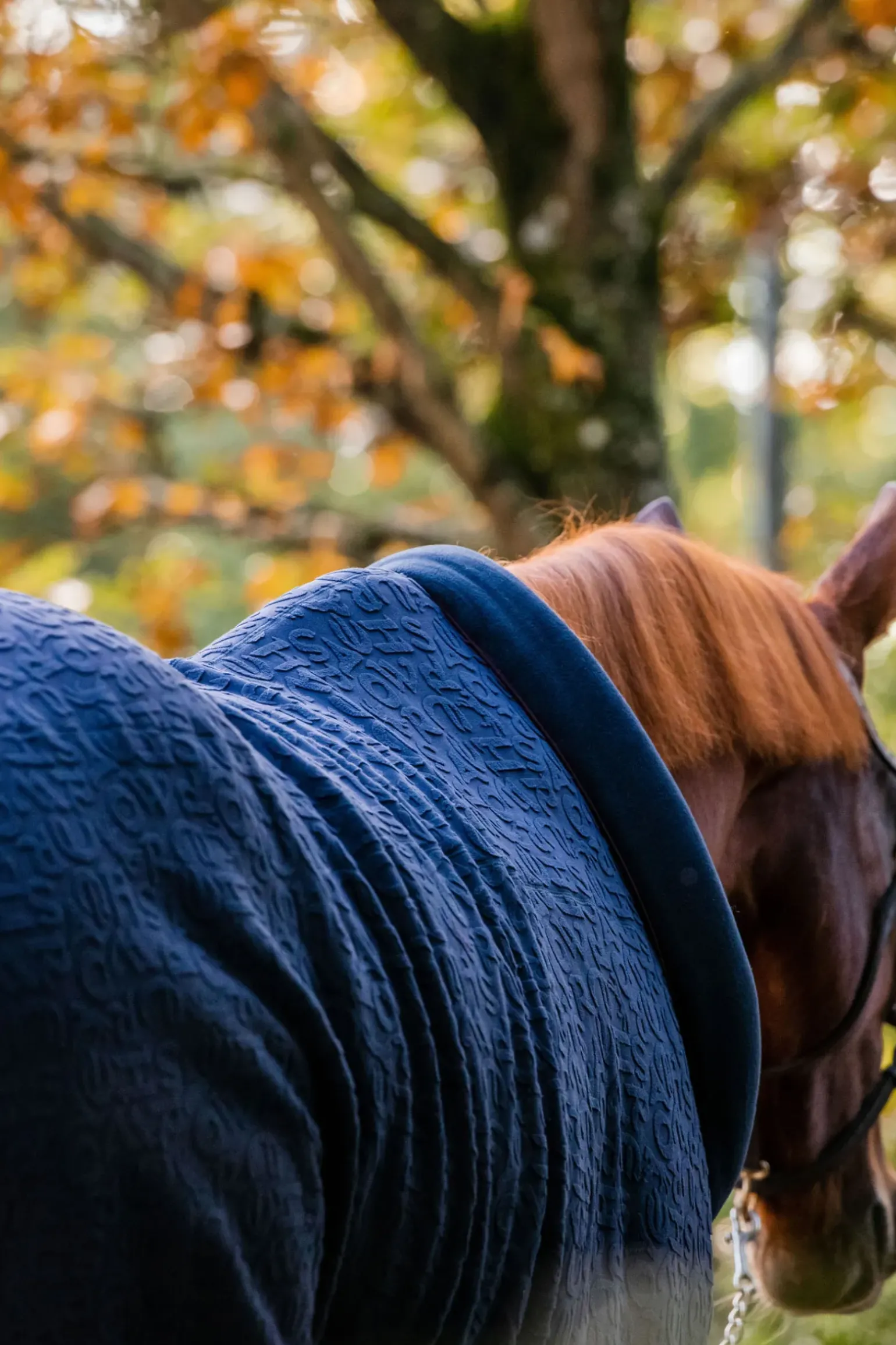 Couverture Sechante Horseware En Relief Encolure Douillette