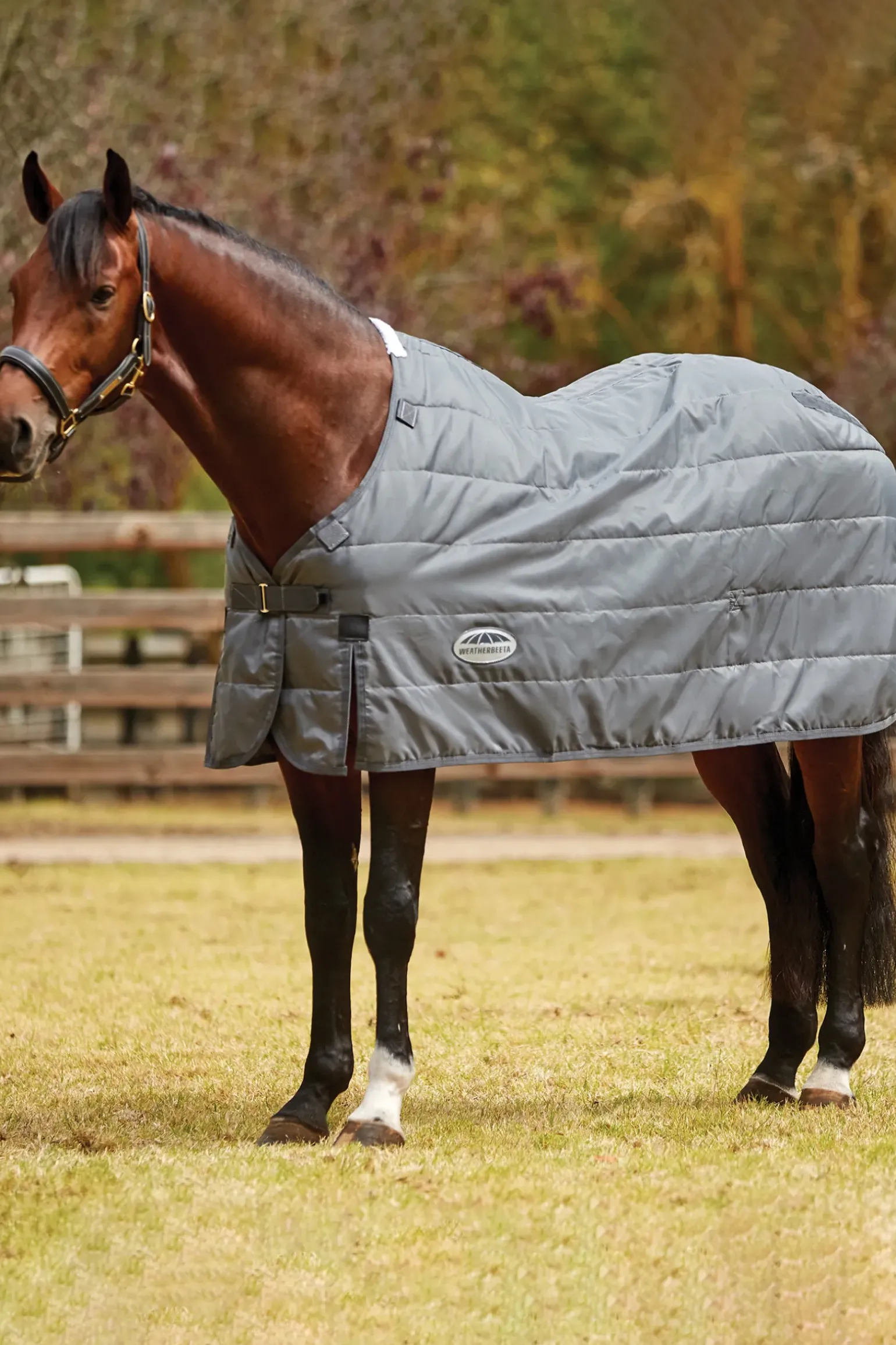 Couverture Weatherbeeta Comfitec Liner 200 G