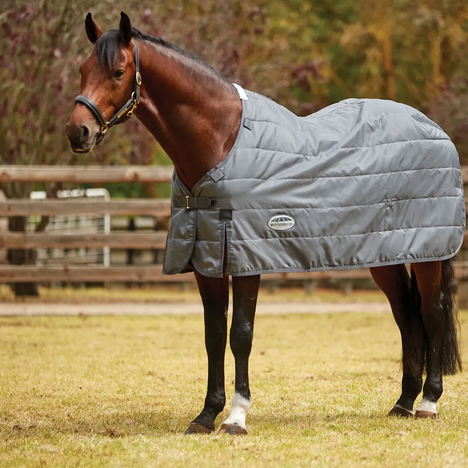Couverture Weatherbeeta Comfitec Liner Heavy Epaisse 210 D, 330 G