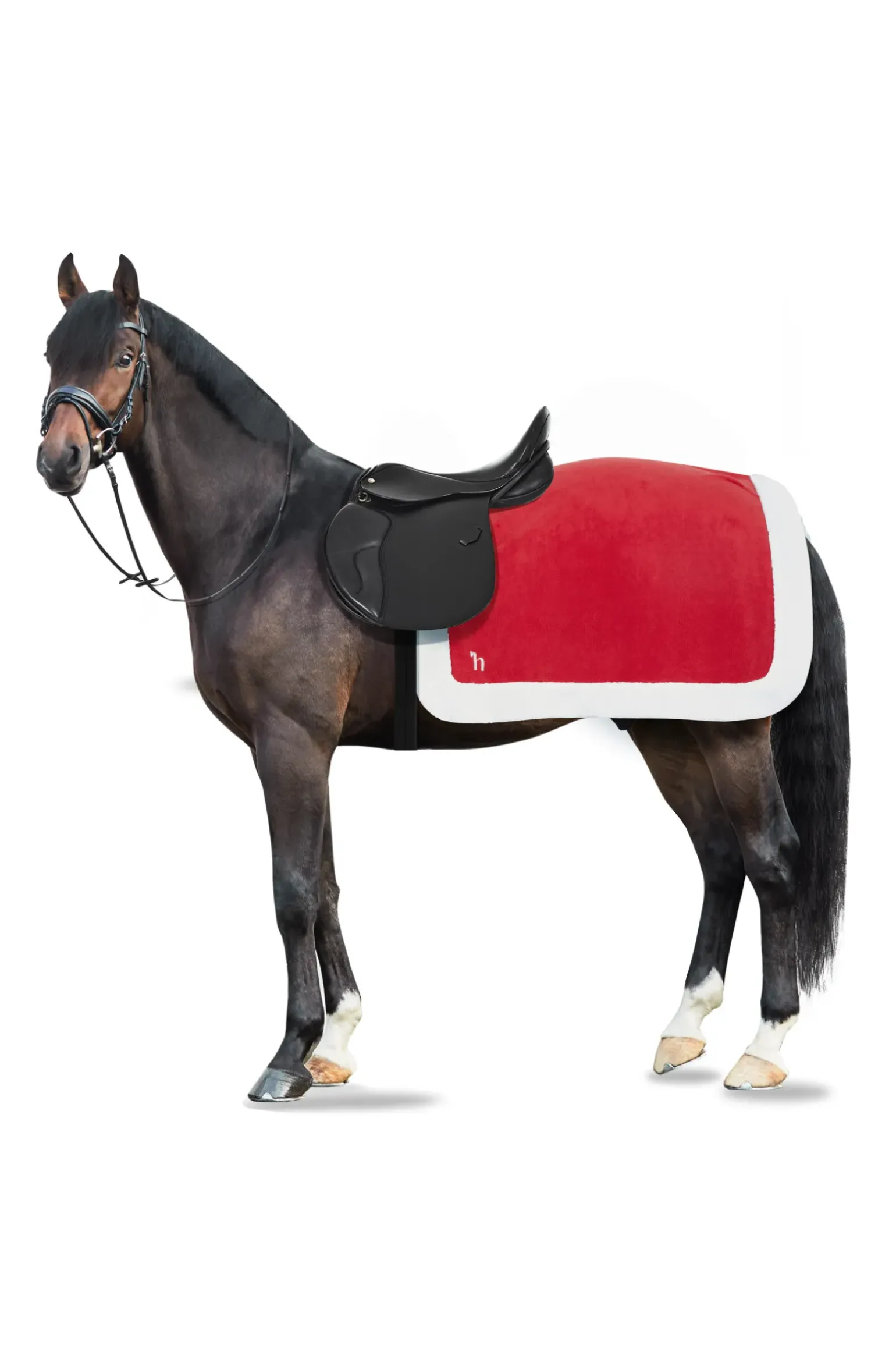 Couvre-Reins De Noel Horze