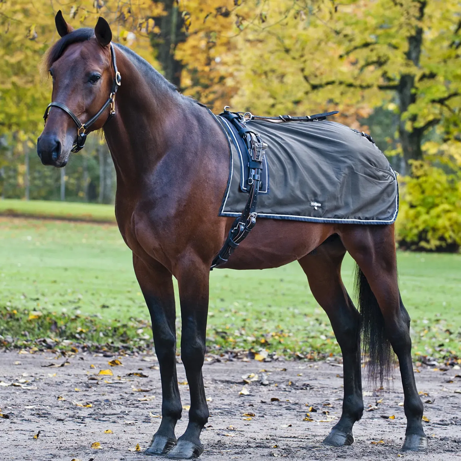 Couvre-Reins Endura Finntack Pro, Doublure Polaire