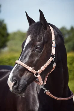 Ensemble Tresse Licol Et Longe Horze Coventry