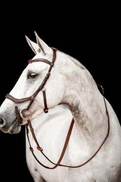 Filet De Concours Horseware Rambo Micklem 2 Avec Rênes
