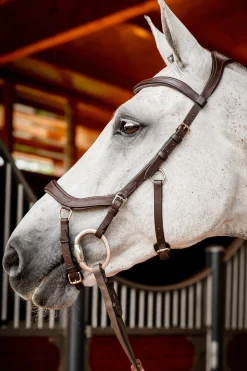 Filet De Concours Horseware Rambo Micklem 2 Avec Rênes