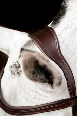 Filet De Concours Horseware Rambo Micklem 2 Avec Rênes