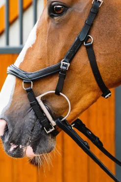 Filet De Concours Horseware Rambo Micklem 2 Diamante