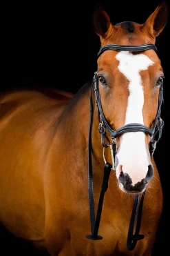 Filet De Concours Horseware Rambo Micklem 2 Deluxe