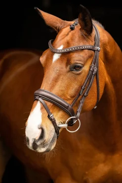 Filet De Dressage Lemieux Arika
