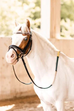 Filet Horze Carrousel Magique Pour Poney