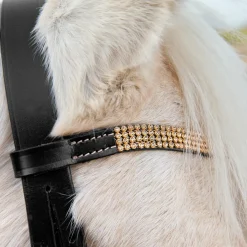 Filet Horze Poney