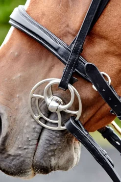 Filet John Whitaker Lynton Avec Un Frontal De Rechange