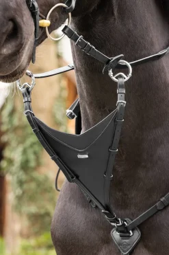 Fourche De Martingale Lemieux
