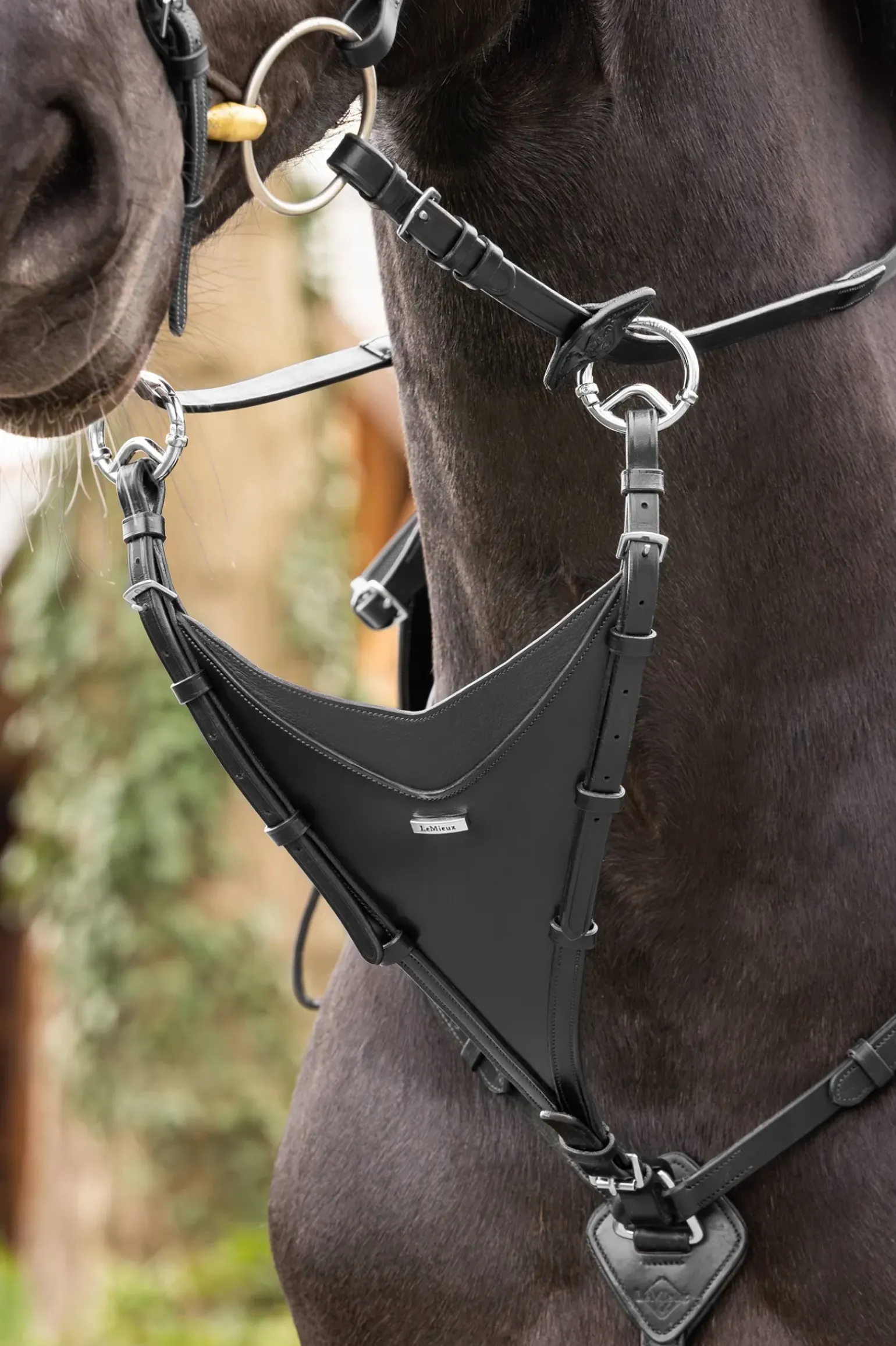 Fourche De Martingale Lemieux