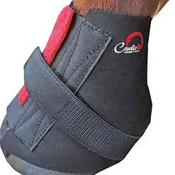 F.R.A. Bandes Cavallo Bfb