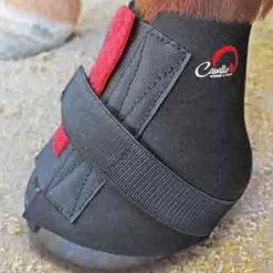 F.R.A. Bandes Cavallo, Xl