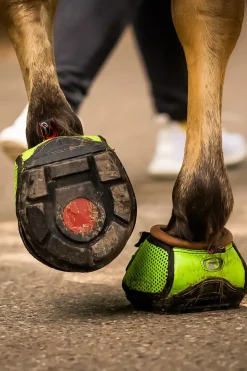 F.R.A. Boots A Sabots Cavallo Trek Slim