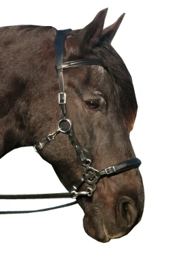 Fra Calli Hackamore Bridle (Syst.2) W/Jaw Straps, Scissors & Rein