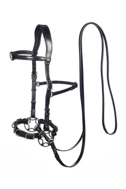 Fra Caval Compl. Cavemore Bridle (Syst.2) W/ Scissors & Reins