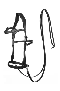 Fra Dandy Sidepull (System 3) Leather, W/ Leather Clip Reins