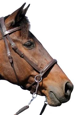 F.R.A. El Camin Bitless Bridle (System 5) W/ Soft Reins