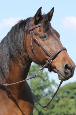 F.R.A. El Camin Bitless Bridle (System 5) W/ Soft Reins