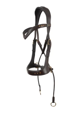 F.R.A. Glory Systeme 5 / Ennasure Bitless, Marron
