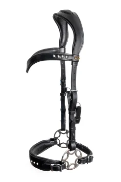 F.R.A. Glory Systeme 2 / Hackamore Noire