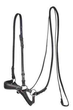 Fra Lami Bitless Bridle (System 4) W/ Reins & Studhook Connect