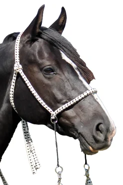 F.R.A. Nanouk Bitless Bridle (System 4) Cotton W/ Clip Reins