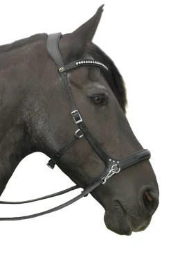 Fra Rebecca Sidepull (System 3), Crystal Finishing W. Rein